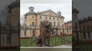 Новый год в Питере 🔥 2026