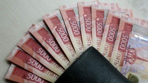 В Госдуме объяснили, кому положена тринадцатая зарплата