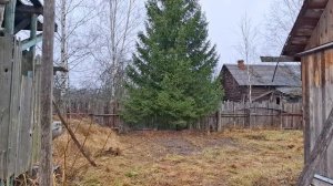 Видеоосмотр участка. Середина ноября