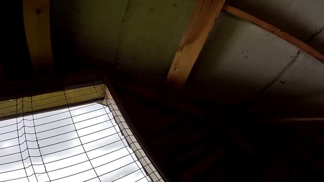 Страусы заболеют ! Купаться пошли ! Сенник готов ! ХУТОР В ЛЕСУ №854 смотреть онлайн