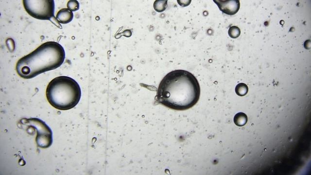 Отвар гвоздики на водяной бане – проверяем на клеще демодекс! смотреть онлайн