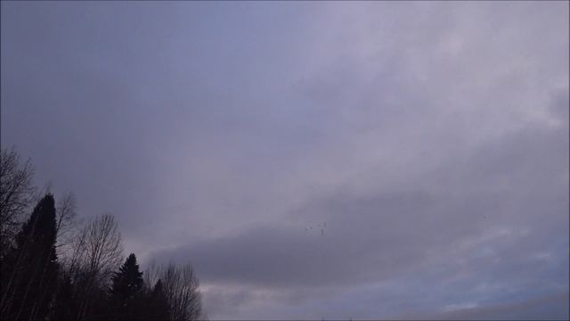 15 ноября, а гусь ещё летит. смотреть онлайн