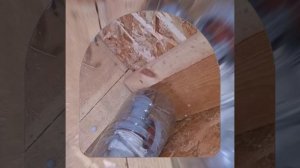 1000040486.mp4 (Собака смотрит на монтаж электропроводки (подключен. 3-х ф. розетки) в доме А-фрейм)