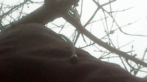 Во исполнение заповеди Христовой "почитай отца и мать"- помогаю маме в саду