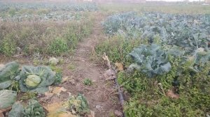 Какая Обстановка Херсонская Область