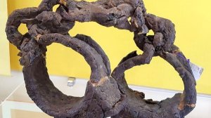 Музей на раскопках древнего поселения Танаис