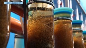 55 лет на страже экологии: Чернышевский рыбоводный завод отметил юбилей