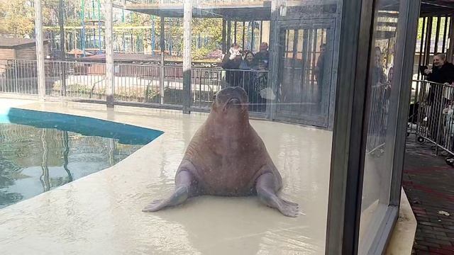 Бахчисарай зоопарк