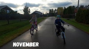 Осеннее настроение /Жалко кошечку 😪 /Яблоки с дерева