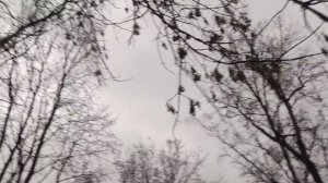 Моя семья прогноз погоды от волшебника 🧙 18 ноября