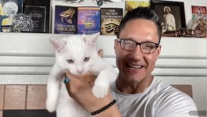 alliance update! от 17 ноября 2025.