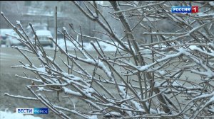 Вести-Томск, выпуск от 18.11.2025 11:30