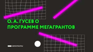 О. А. Гусев о программе Мегагрантов