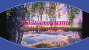 Модная жизнь