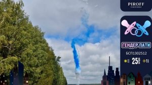 БСП 1302512 Гендер пати Синий