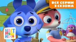 Мультики для детей Цветняшки | Весь 2 сезон ВСЕ СЕРИИ подряд | Сборник