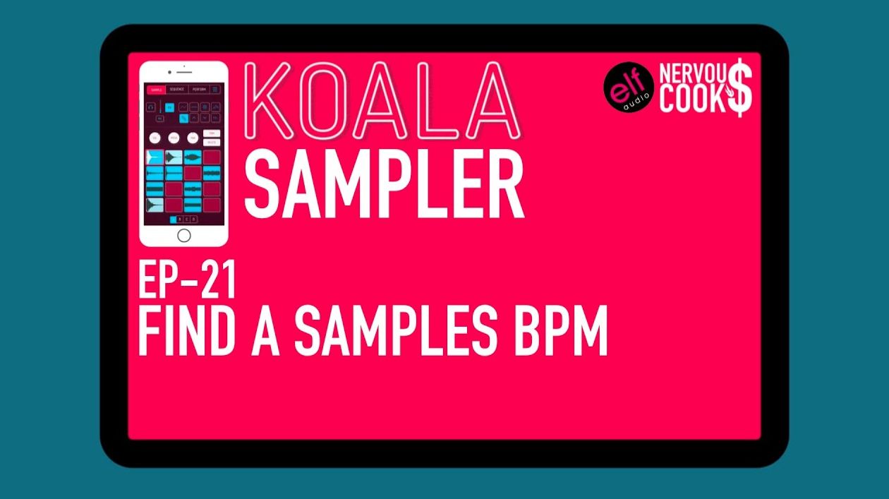 Koala Sampler x NervousCook$ | EP 21: Finding BPM/Tempo of Sample