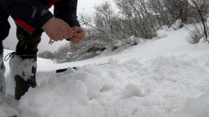 Ищу хариуса.Копаю новые места.