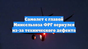 Самолет с главой Минсельхоза ФРГ вернулся из-за технического дефекта