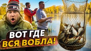 ВОТ ГДЕ ВСЯ ВОБЛА! | Рыбалка в Астрахани. Осень 2025 - День 3