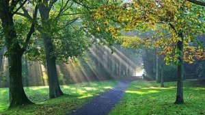 Ненужные слова, сл. В. Шентала, муз. и исп. ИИ SUNO