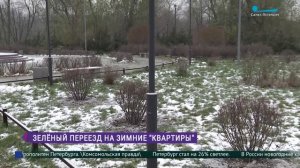 Из сада-трансформера  - на зимние квартиры