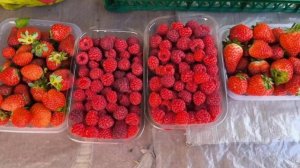 Ягоды в Абхазии