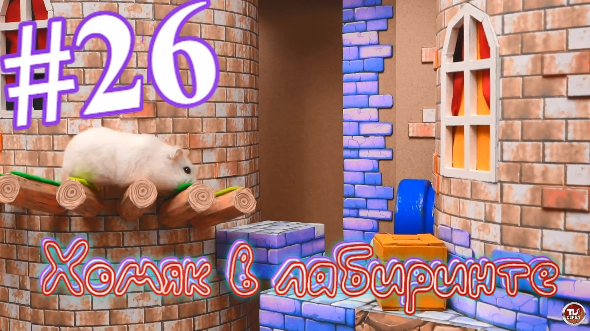 Хомяк в лабиринте (26 серия)