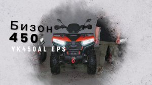 Квадрицикл Bizon YK450AL EPS ПТС