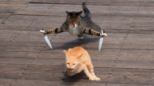 #смешныевидео -226