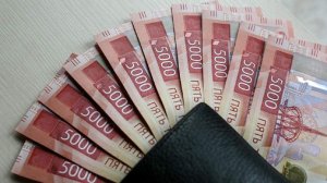 В Госдуме объяснили, кому положена тринадцатая зарплата