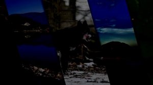 Modern Spirit - A New Day