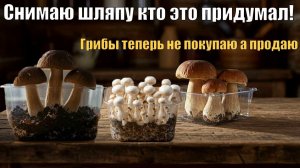 СДЕЛАЙ ЭТО и грибы вырастут сами! Выращивание грибов дома