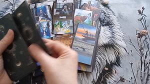 БУМЕРАНГИ ДОСТИГАЮТ ЦЕЛИ