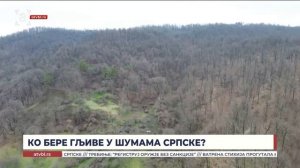 Ко бере гљиве у Шумама Српске?