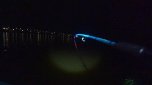 ЛЕЩИ ГНУТ УДОЧКИ ТОЛЬКО ТАК! ОПАСНАЯ РЫБАЛКА С ЛОДКИ В ТУМАН..