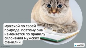 Фамилия Агальцов: родословная, толкование и правила склонения.