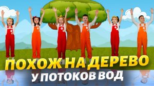 Дети Бога - Похож на дерево я у потоках вод. (Псалом 1)