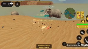 играю за Льва в саванне Лайф