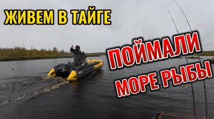 Таёжная уха по-северному | Рыбалка на дикой реке | Жизнь в лесу #4