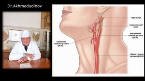 Операции на сосудах. часть2 проф. Ахмадудинов М.Г.