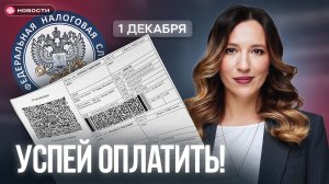 ЭТИ налоги обязаны оплатить ВСЕ до 1 декабря!