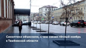 Синоптики объяснили, с чем связан тёплый ноябрь в Тамбовской области
