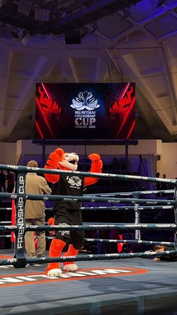 Funny Dance Project смотреть онлайн