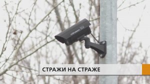 10 тысяч нарушений за 9 месяцев было выявлено с начала года