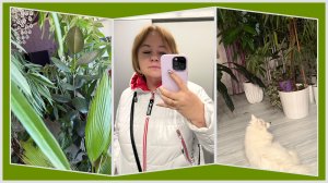 Сборная солянка, новый кушон, купила блузку. Семейный влог о жизни. Дети, животные, друзья