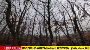 ВС РФ эвакуировали 8 мирных жителей из окруженного Покровска