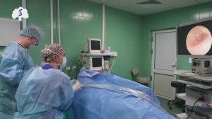 Впервые в мире: восстановили барабанную перепонку с помощью сфероидов из собственных клеток пациента