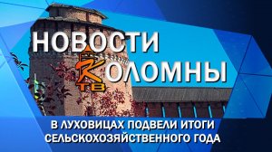 В Луховицах подвели итоги сельскохозяйственного года