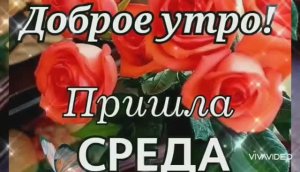 ТОЛЬКО ТЫ И Я ***ДОБРОЕ УТРО